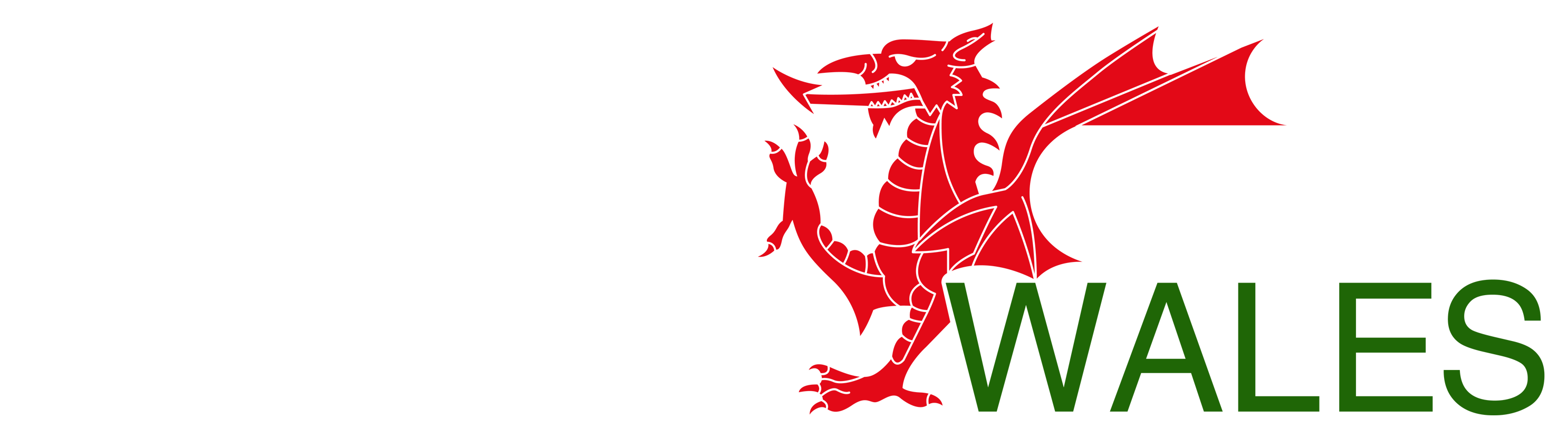 Cyber Wales Ecosystem